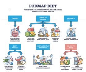 fodmap diet diagram outline 1