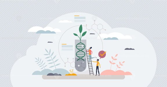 genetic engineering in plants 1