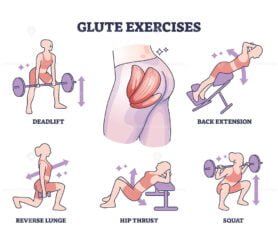 glute excercises outline 1