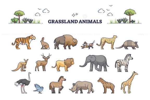 grassland animals outline 1