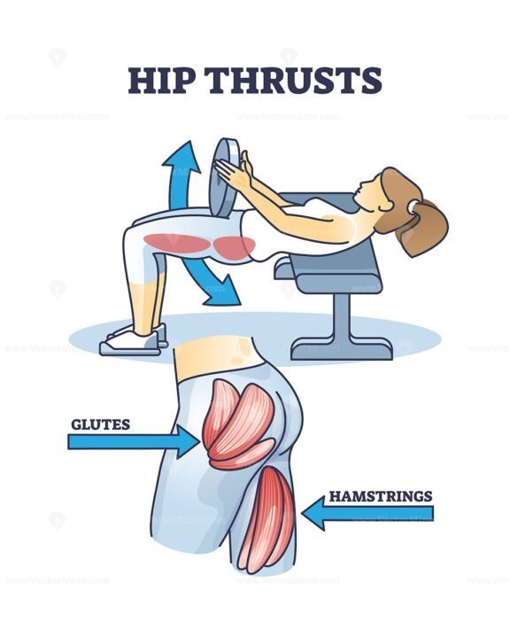 hip thrusts outline diagram 1