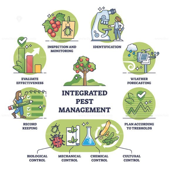 integrated pest management outline diagram 1