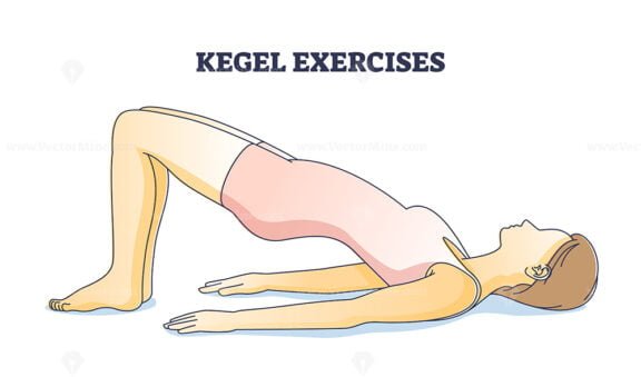 kegel exercises female outline 1