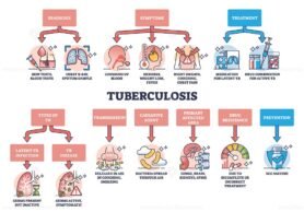 key aspects of tuberculosis tb scheme diagram 1