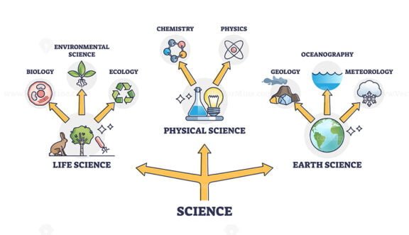 life physical and earth science branches outline 1