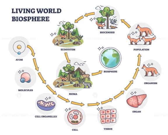 living world biosphere outline 1