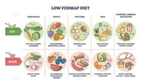 low fodmap diet outline 1