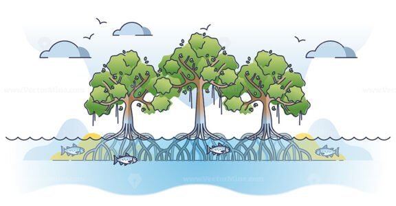 mangrove trees outlince concept 1