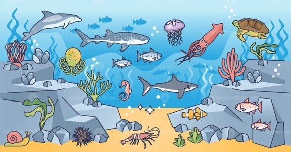 marine ecosystem outline concept 1
