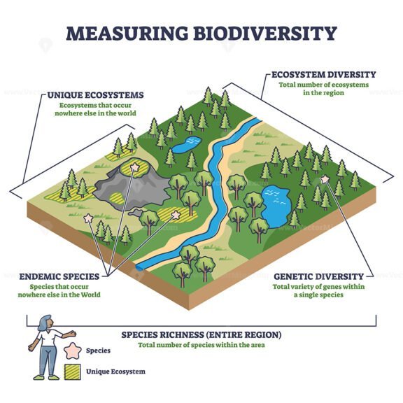 measuring biodiversity outline 1