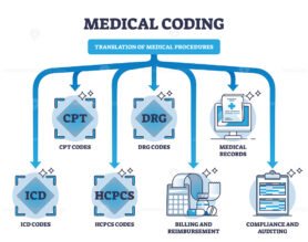 medical coding outline diagram 1