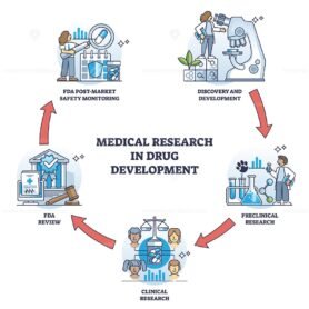 medical research in drug development diagram 1