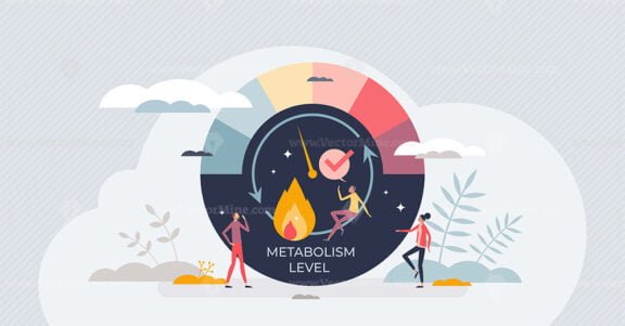 metabolism level 1
