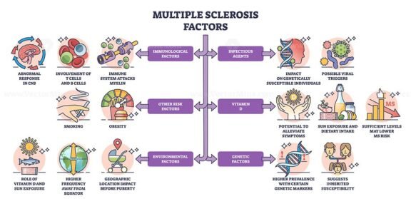 multiple sclerosis factors outline diagram 1