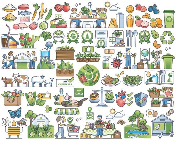 organic food collection outline 1