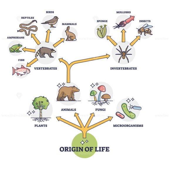 origin of life outline diagram 1