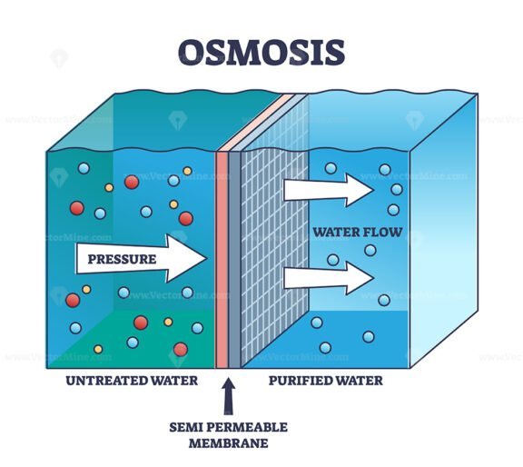 osmosis 2 outline 1