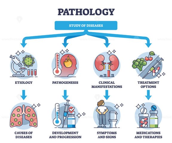 pathology diagram 1