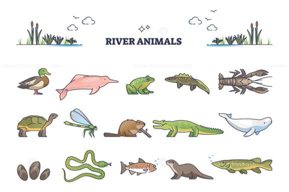 river animals outline set 1