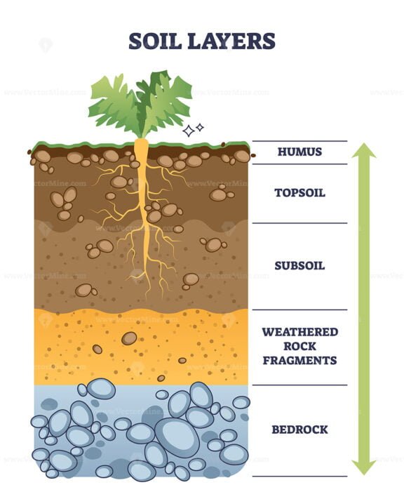 soil layers diagram outline 1