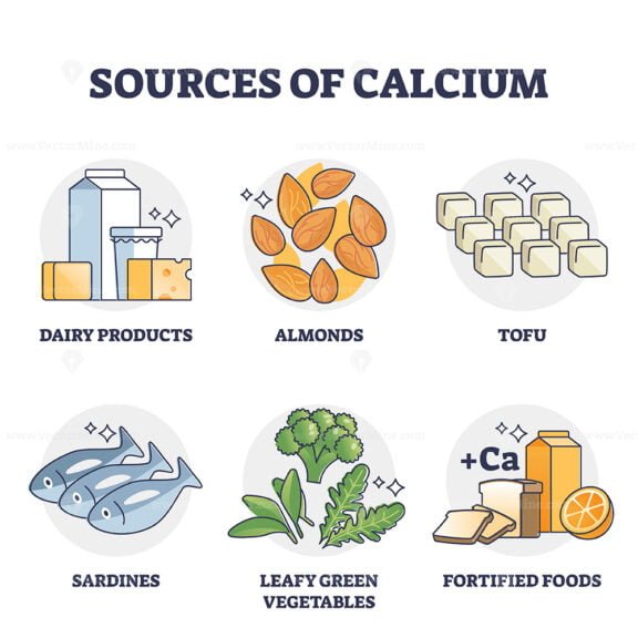 sources of calcium outline diagram 1