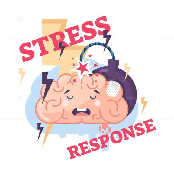 stress response char