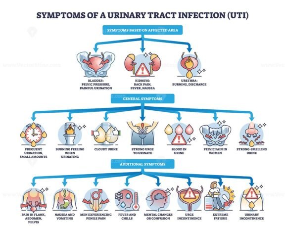 symptoms of a urinary tract infection uti diagram 1