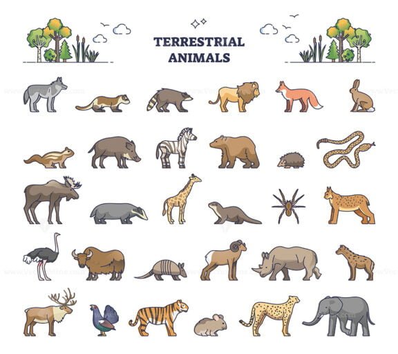 terrestrial animals outline set 1