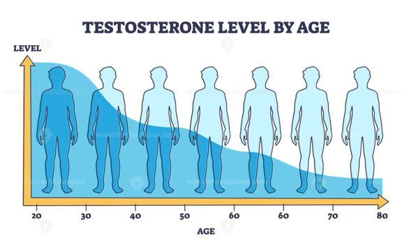 testosterone levels outline diagram 1