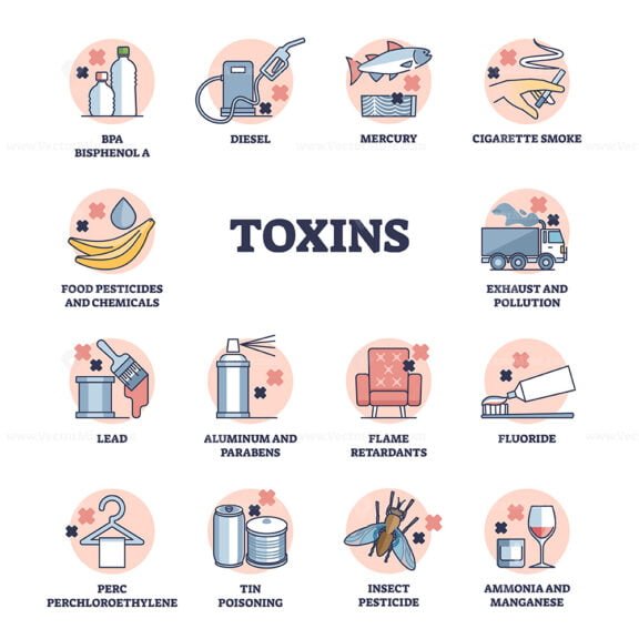 toxins outline diagram 1