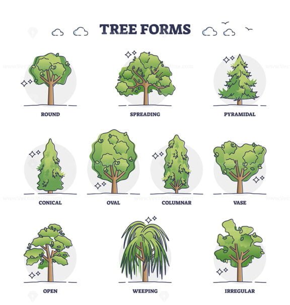 tree forms outline set 1