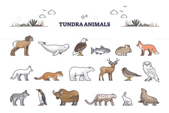 tundra animals outline set 1