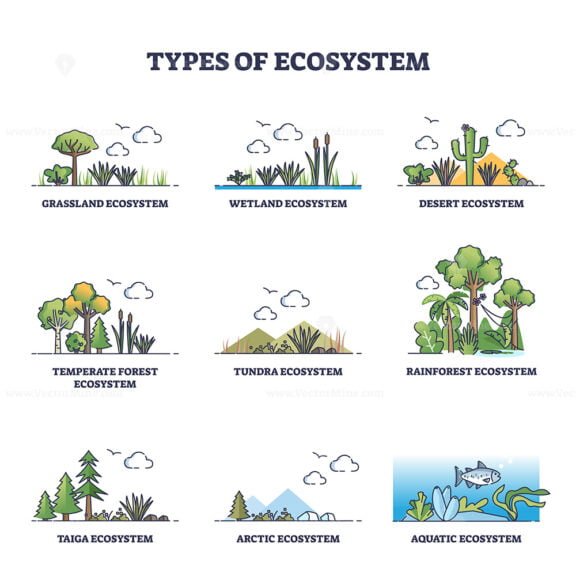 types of ecosystem outline set 1