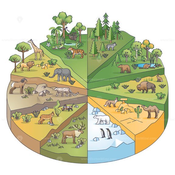 types of habitats 2 ouline diagram 1