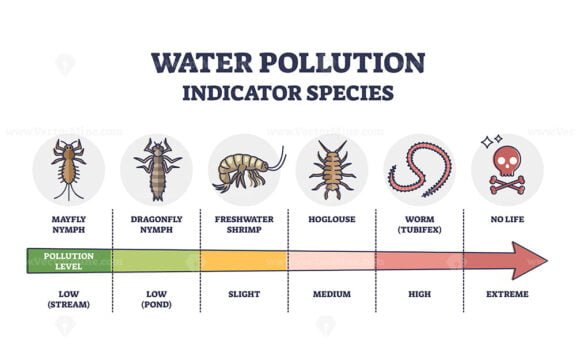 water pollution indicator species outline 1