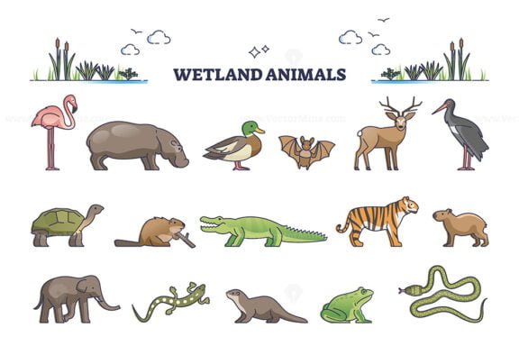 wetland animals outline set 1