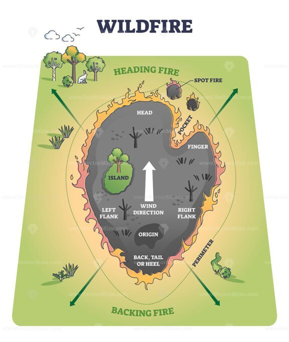 wildfire outline diagram 1