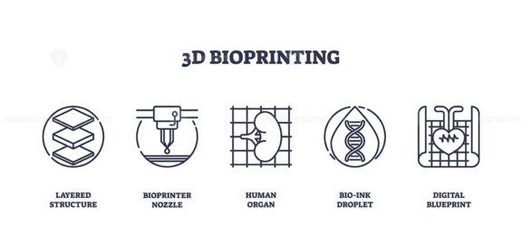 3D bioprinting involves layered structures, bioprinter nozzles, and human organs. Outline icons set.