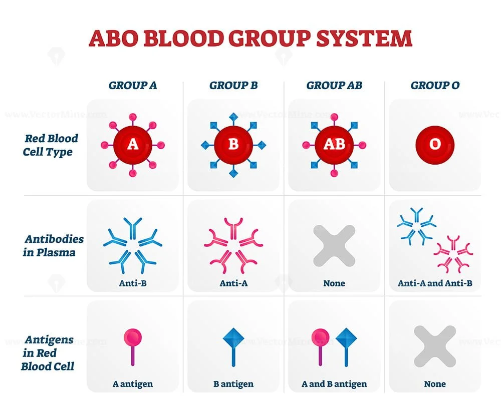 presentation of blood group system