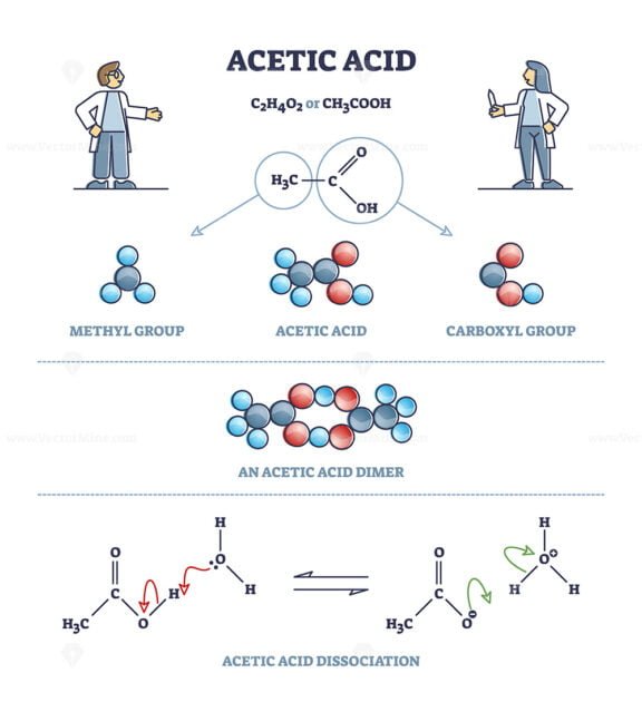Acedic Acid outline diagram