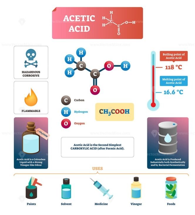 Citric acid cycle diagram, vector illustration molecular scheme ...