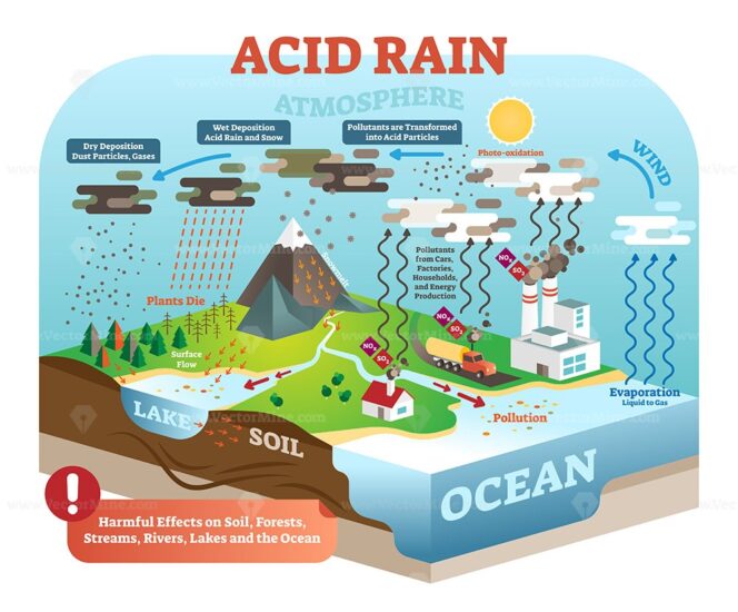 Acid rain cycle, nature ecosystem pollution infographic – VectorMine