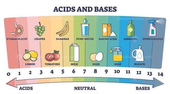 Acids and Bases outline