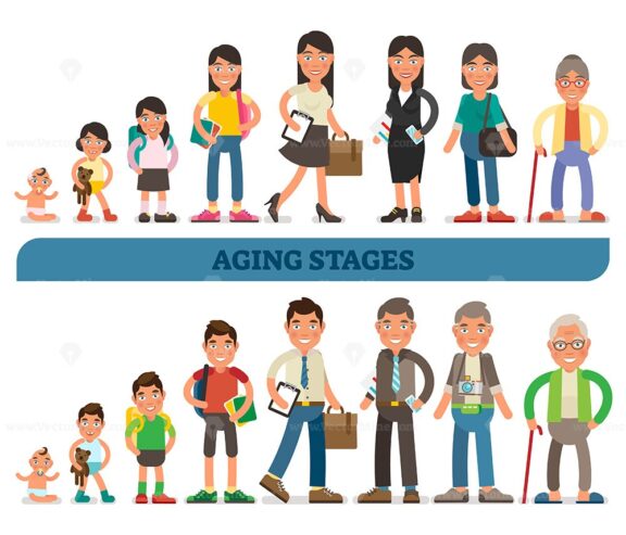 Aging stages conceptual vector illustration collection, from baby to teenage to adult and elderly