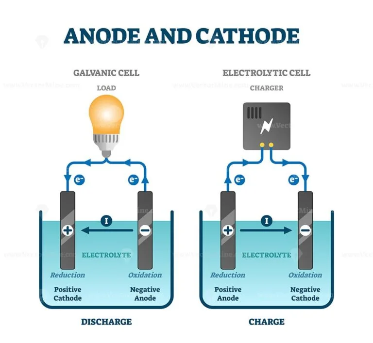 Anode and cathode scientific physics education diagram, vector ...