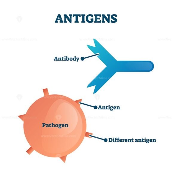 Antigens