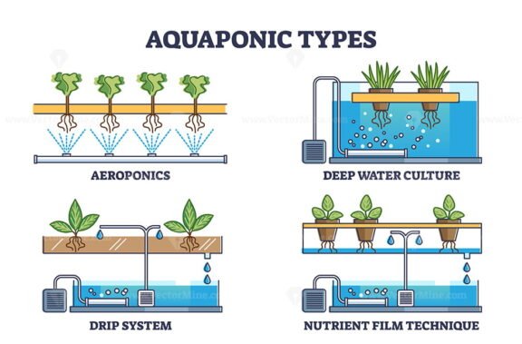 Aquaponic Types outline