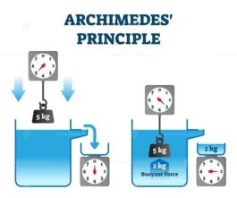 Archimedes principle vector illustration – VectorMine