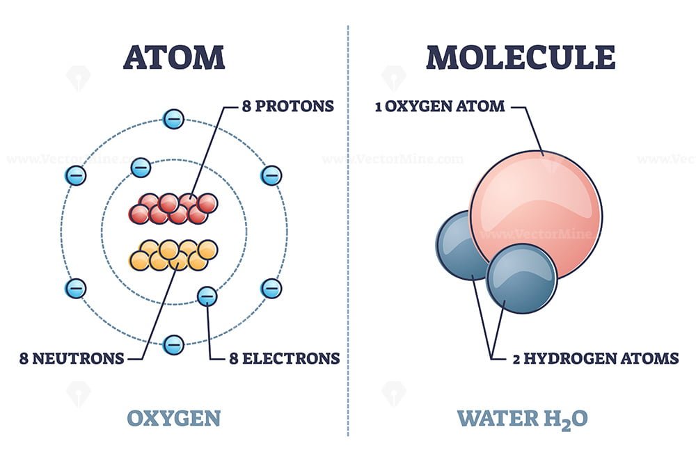 atom vs molecule