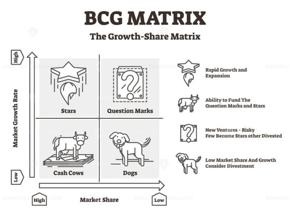 BCG matrix vector illustration